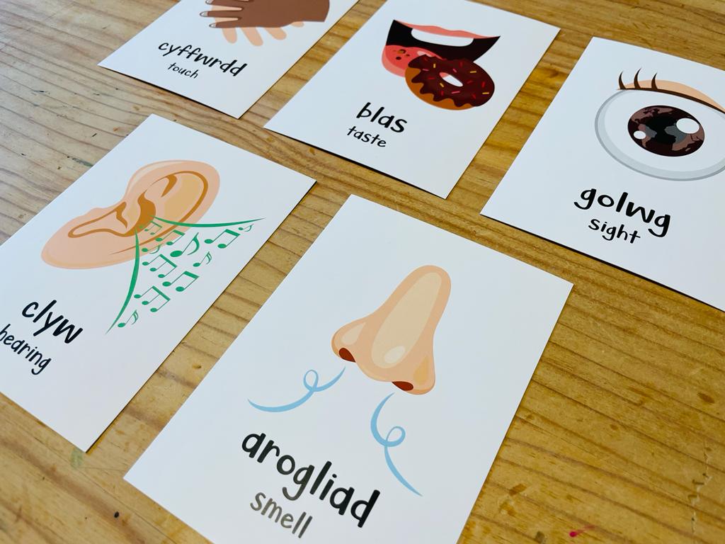All About Me Flashcards // Cardiau Fflach Popeth Amdanaf I