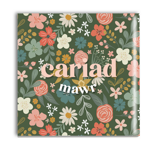 Cariad Mawr Coaster