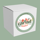 Cariad Mawr Mug / Enamel or ceramic