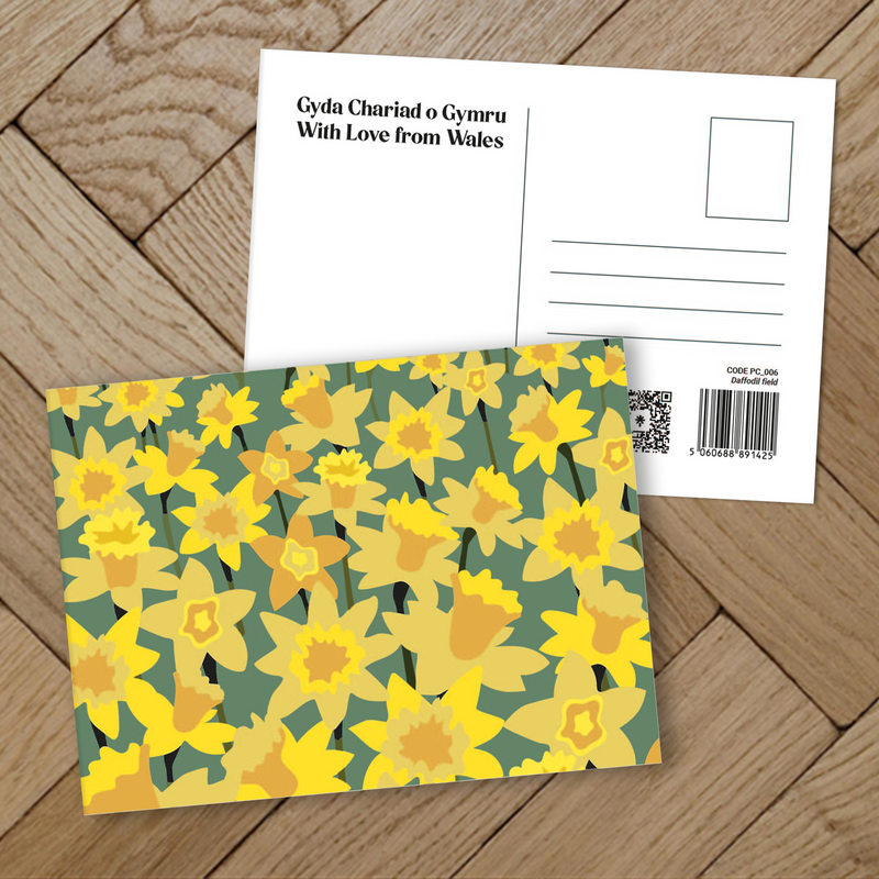 Daffodil field Postcard