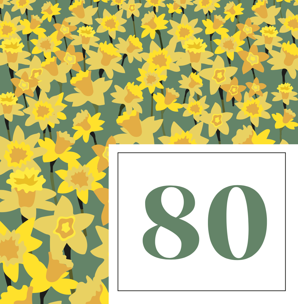 Age Milestone Full Collection / 6x of each design