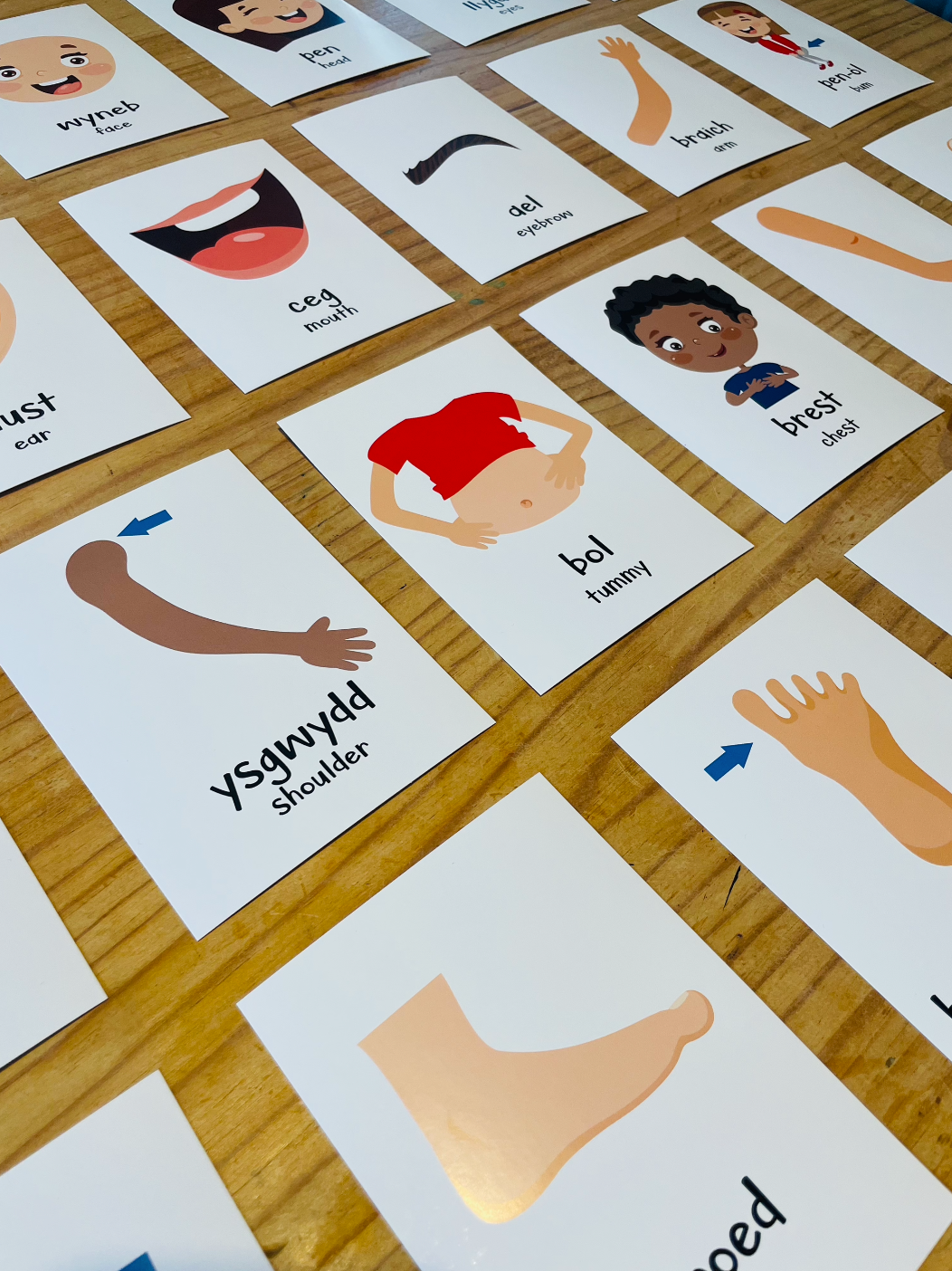 All About Me Flashcards // Cardiau Fflach Popeth Amdanaf I