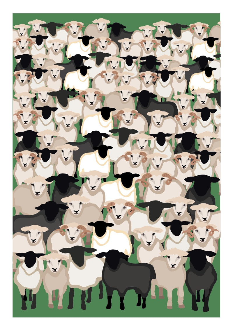 Group Of Sheep A4 Print / Framed and Unframed